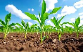 Agric Logo Stock Photos, Images and ...