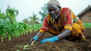 Agric Logo Stock Photos, Images and ...